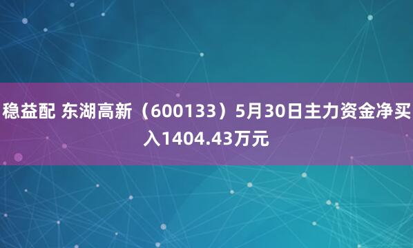 稳益配 东湖高新(600133)5月30日主力资金净买入1404.43万元